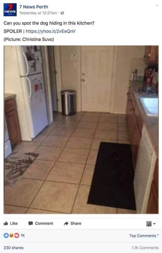 This kitchen is where the big dog is hiding. Can you find it?