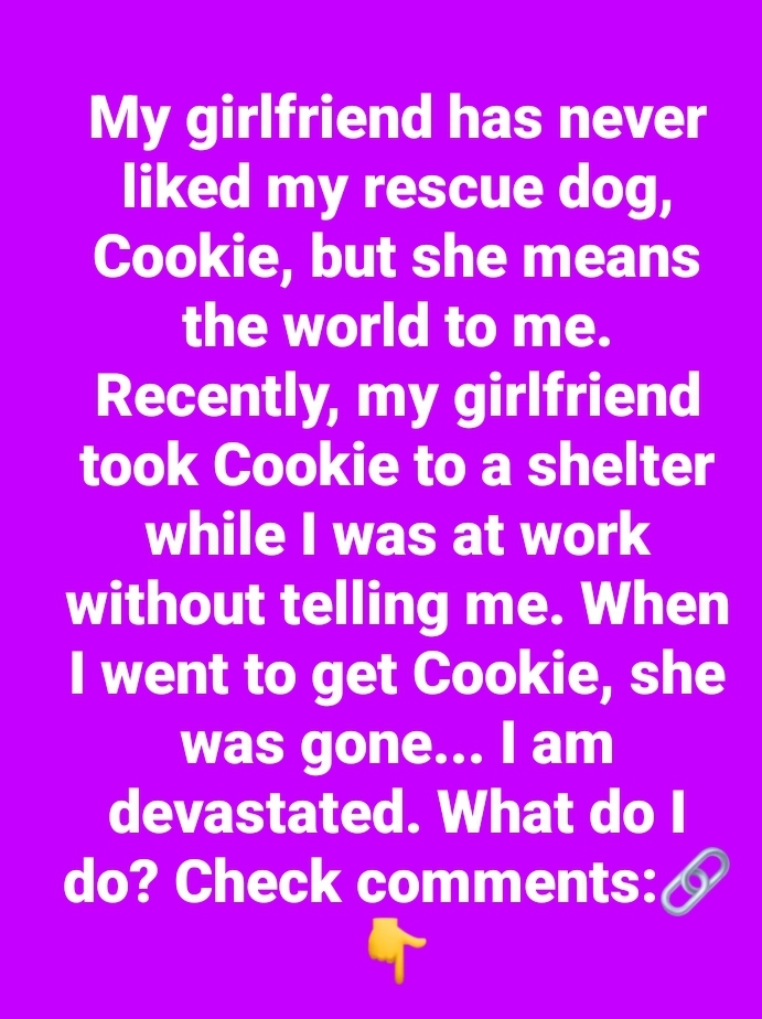 Woman leaves boyfriend’s dog at shelter while he was at work