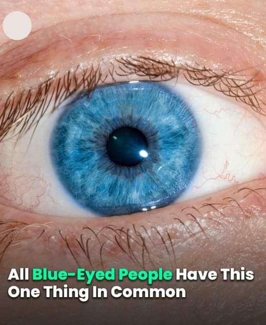 All Blue-Eyed People Have This One Thing In Common