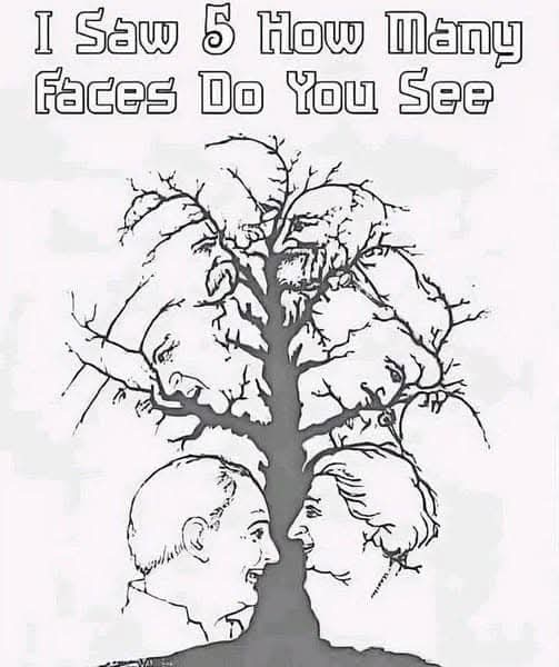 If you find all the hidden faces in this optical illusion in less than 10 seconds, you’re in the top 1%