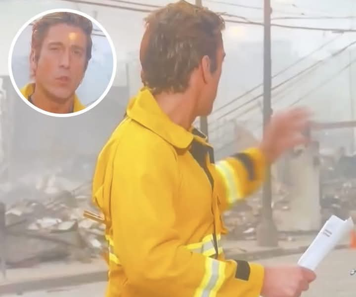 News Anchor Covering LA Fires Sparks Outrage After Viewers Spot Small Detail