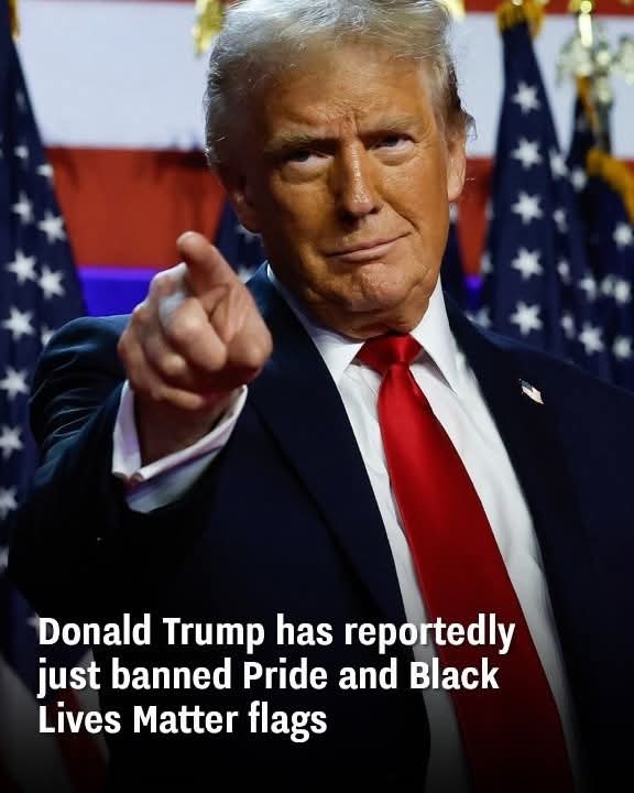 Days After Taking Office, President Donald Trump Reportedly Banned The Pride And Black Lives Matter Flags